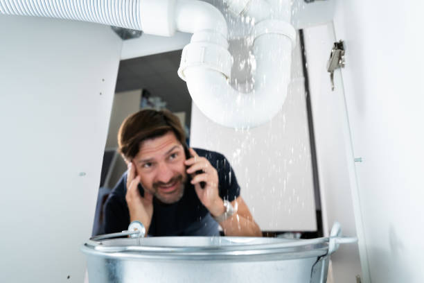 Best Local Plumber Services  in New Egypt, NJ